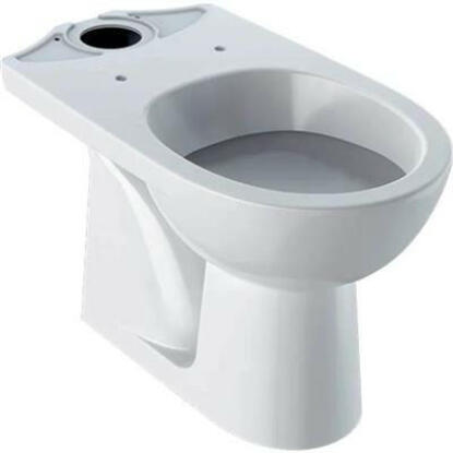 Geberit Selnova álló WC, monoblokkos kivitel, mélyöblítésű, alsó kifolyású, 67cm (500.281.01.1)