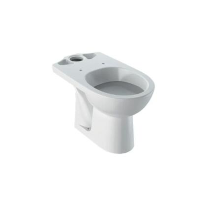 Geberit Selnova hátsó kifolyású, mélyöblítésű, monoblokkos WC 500.282.01.1 (M33200000)