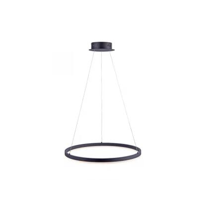 PAUL NEUHAUS TITUS - függeszték (LED, antracit, 60cm)